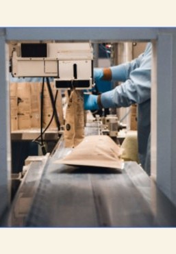 Automated pouch packaging line at Mayd Nutra Labs